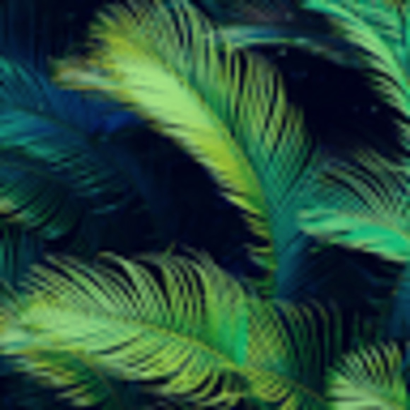 Meet your Posher, Yashna - Picture 1 of 1